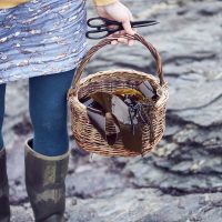 Wed 4th Mar Wild Seaweed Foraging