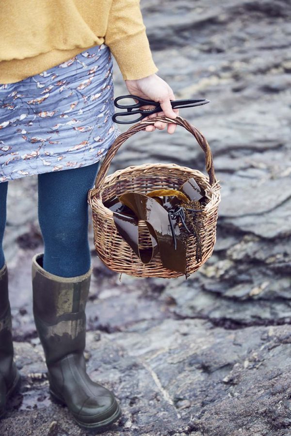 Wed 4th Mar Wild Seaweed Foraging