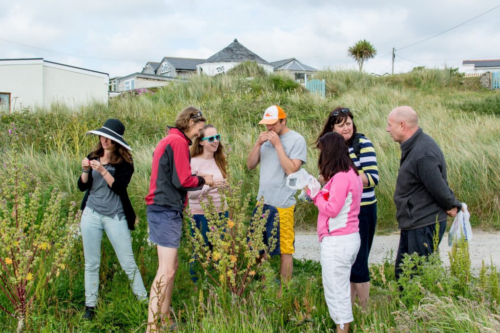 Wild food foraging walk