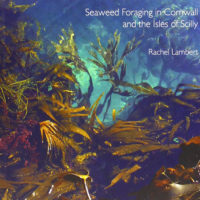 Seaweed Foraging in Cornwall and the Isles of Scilly