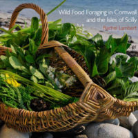 wild food foraging book