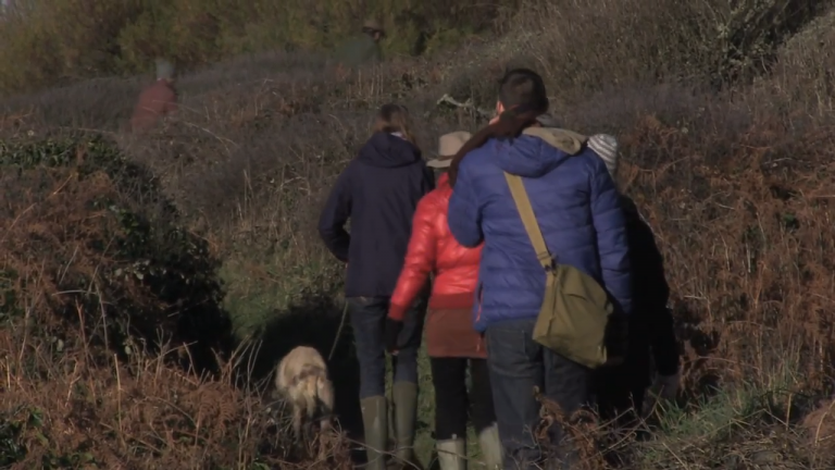 Leading a foraging course in Cornwall