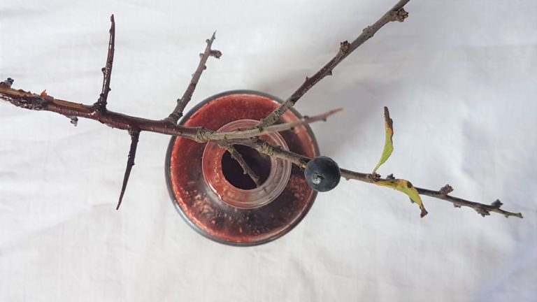 Bottle of sloe syrup
