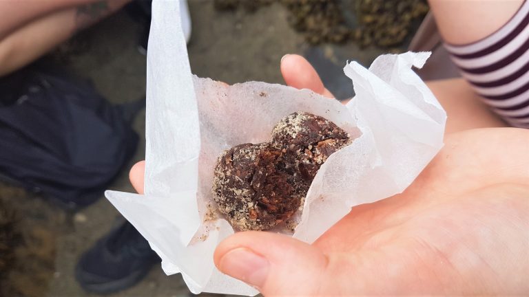 Handful of wild and raw truffles