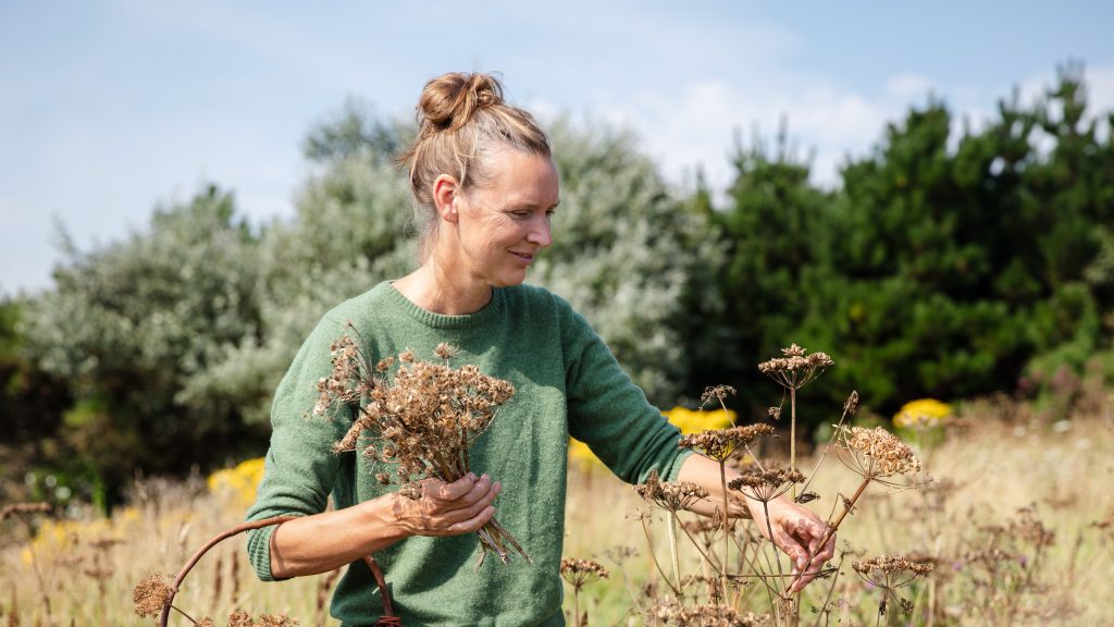 Forager Rachel Lambert picking cow parsnip seeds