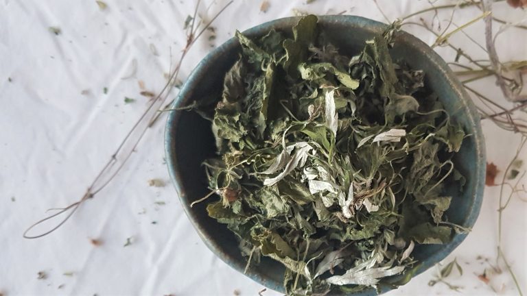 Bowl of foraged, dried wild herbs
