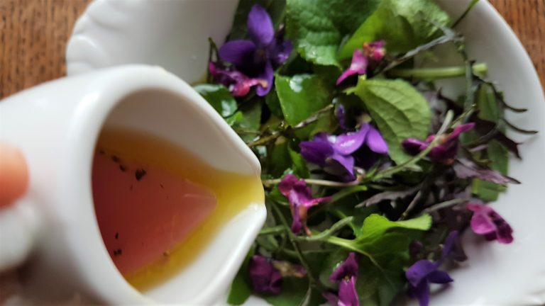 Homemade wild violet vinaigrette recipe
