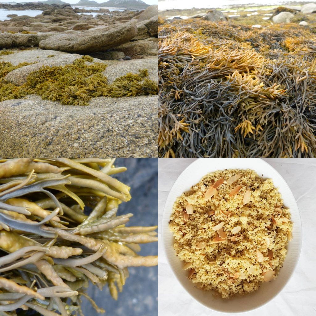 Channel wrack seaweed and seaweed couscous dish