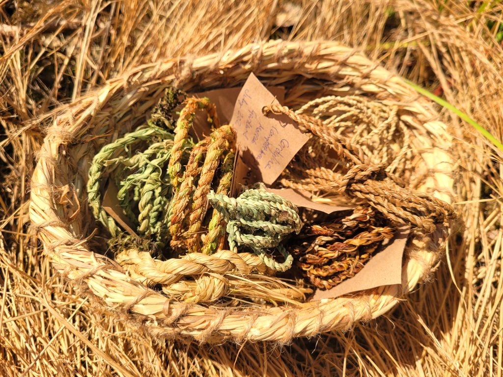 Grass bowl of different cordage (string) made from plants, photographed in a hay field