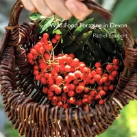 Wild Food Foraging in Devon by Rachel Lambert