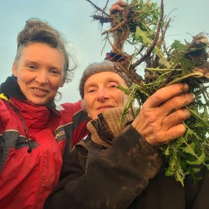 Rachel Lambert (forager) and Klaudia Van Gool (herbalist) holding up freshly dug up dandelion roots