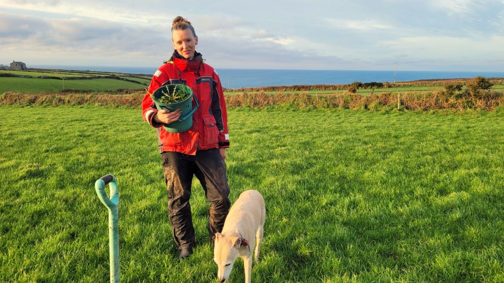 Rachel Lambert forager, standing in a field with a bucket of dandelion roots, a dog and a spade