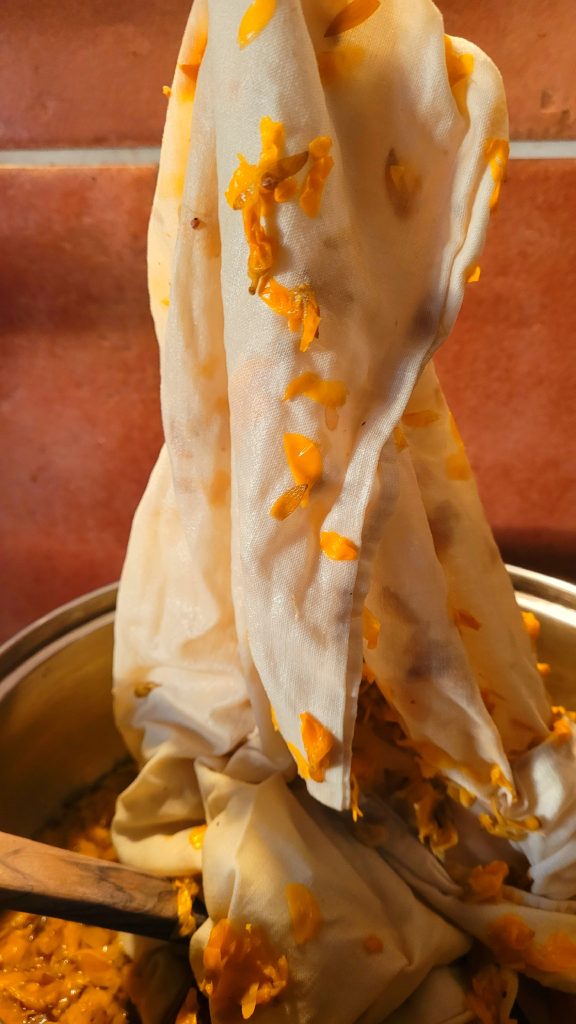 Dying fabric with gorse flowers