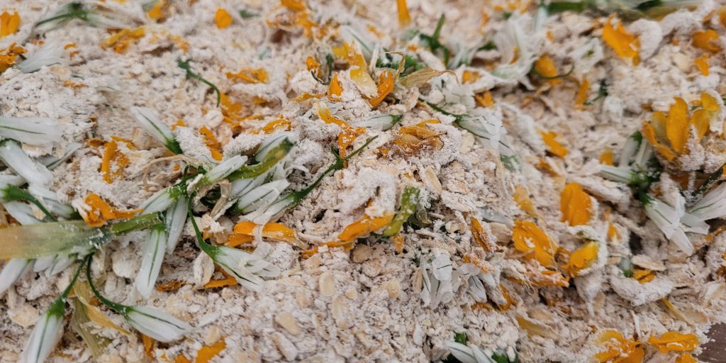 Dry mix for making gluten-free gorse oatcakes
