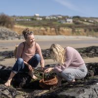 A seaweed foraging course learn how to take care of and forage sustainably edible seaweeds
