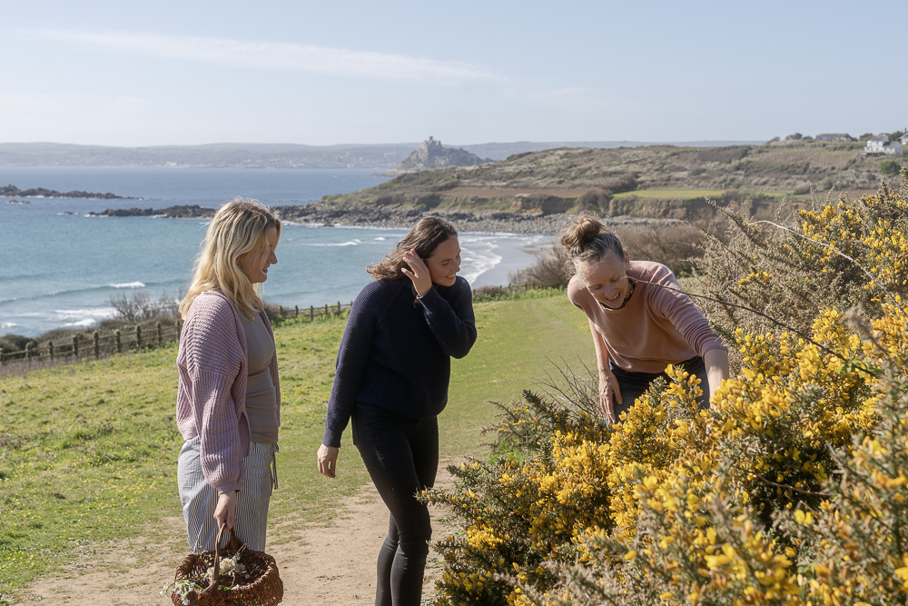 Foraging for gorse in Cornwall