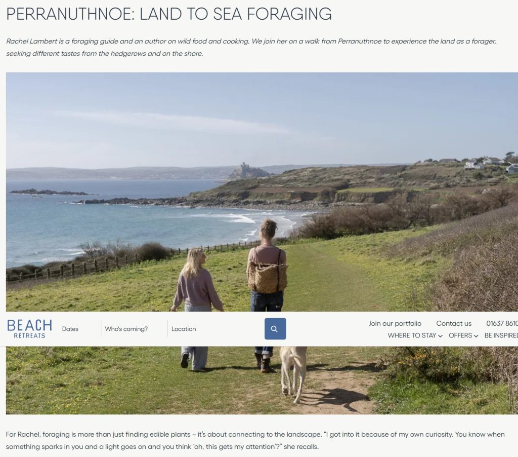 Blog on foraging by the coast