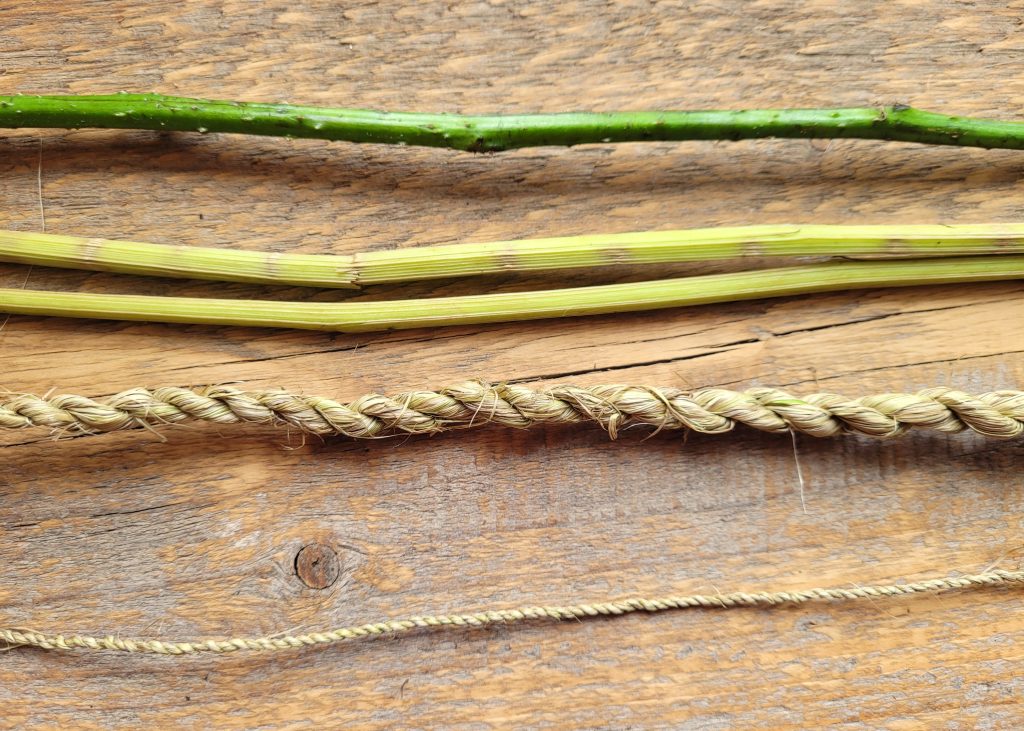 Four different stages of making cordage (string) from invasive brambles