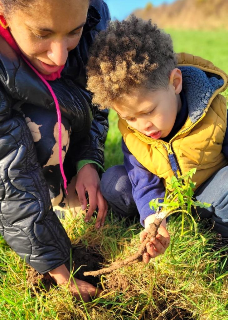 Mother and son digging up their first dandelion root as part of The Dandelion Project
