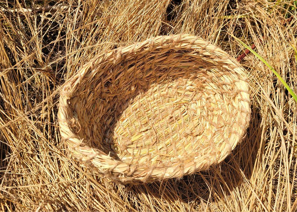 Handmade grass bowl made from left over hay in the UK. Photographed in the field
