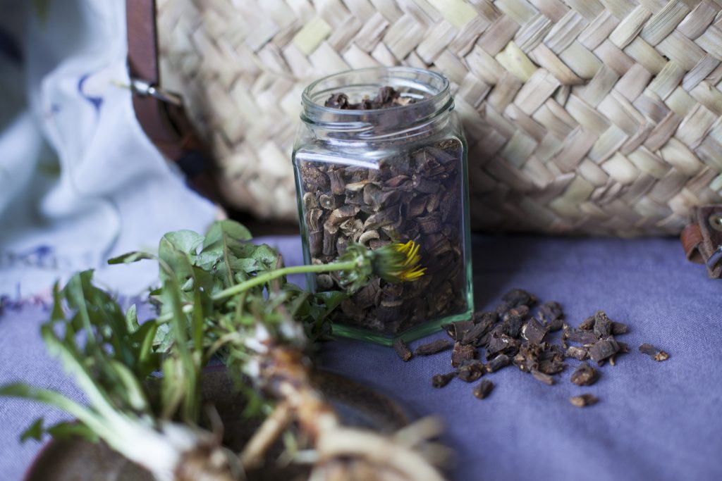 Homemade roasted dandelion roots in a jar next to a basket and two raw, freshly dug wild dandelion roots