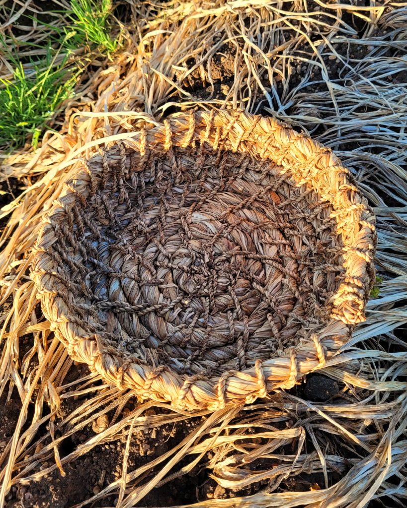 Aerial view of bowl made from 100% daffodils sitting in the field of daffodils where in was made