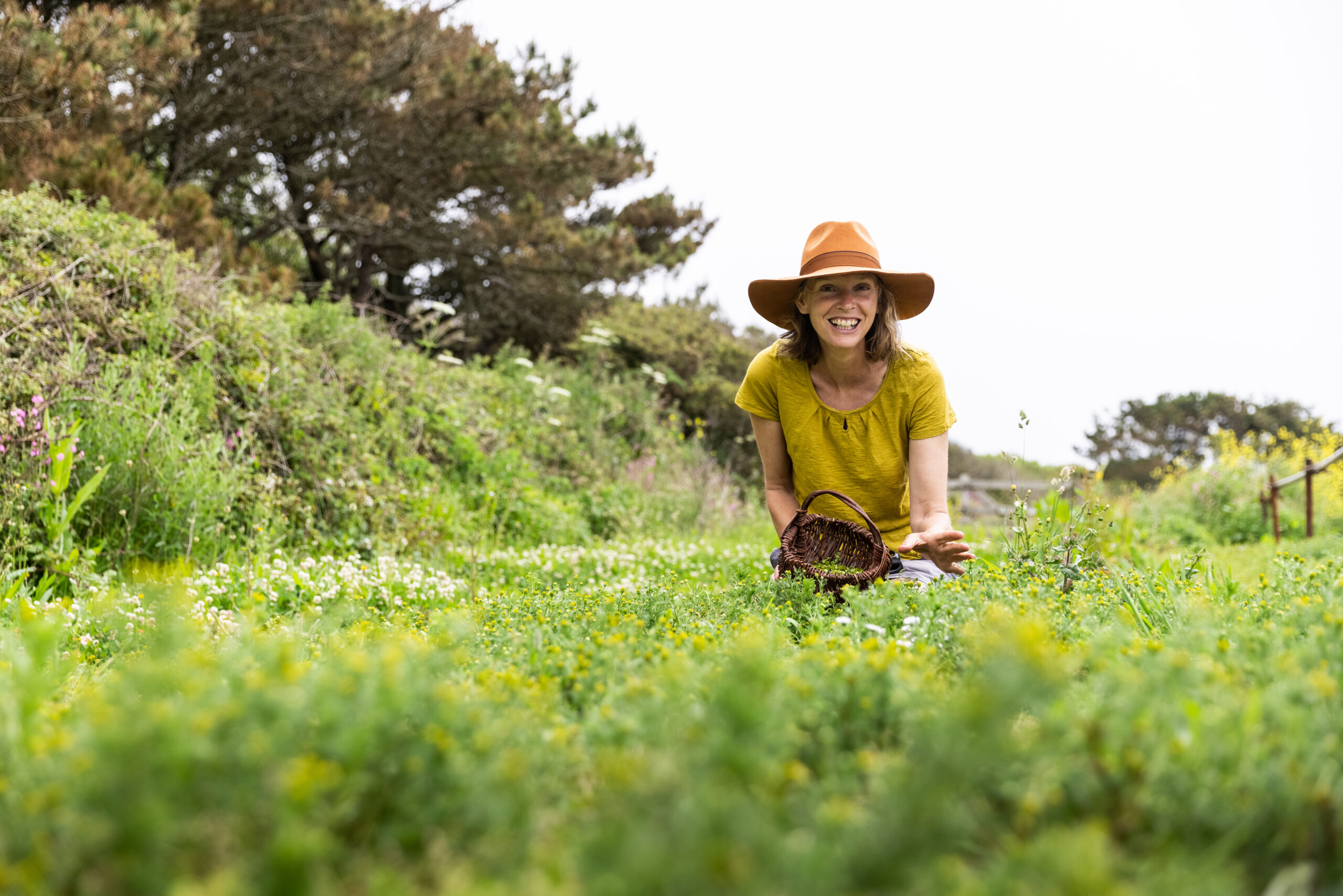 Forager Rachel Lambert with basket in summer teaching and gathering wild chamomile