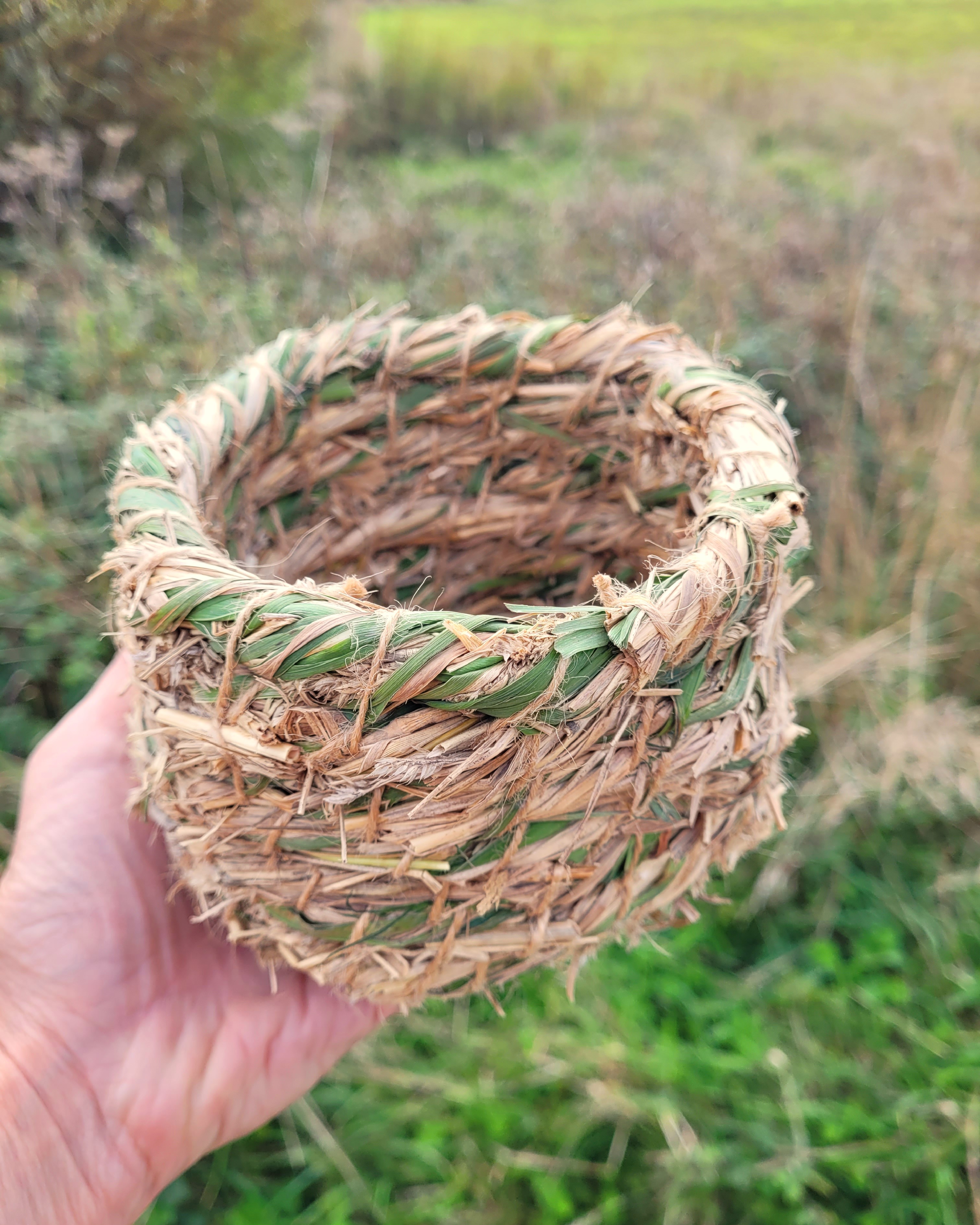 pot made of coiled grasses in the uk, held in a hand, infront of summer grasses