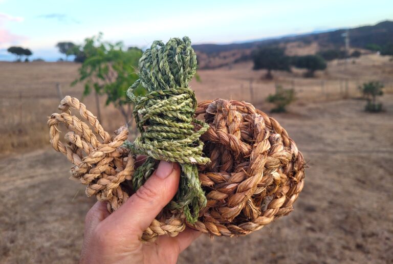 3 plant strings held up against the backdrop of rural Portugal