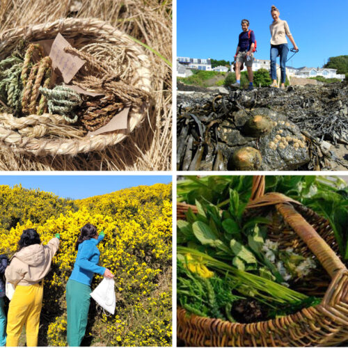 Foraging walks