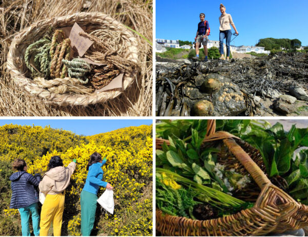 Foraging walks