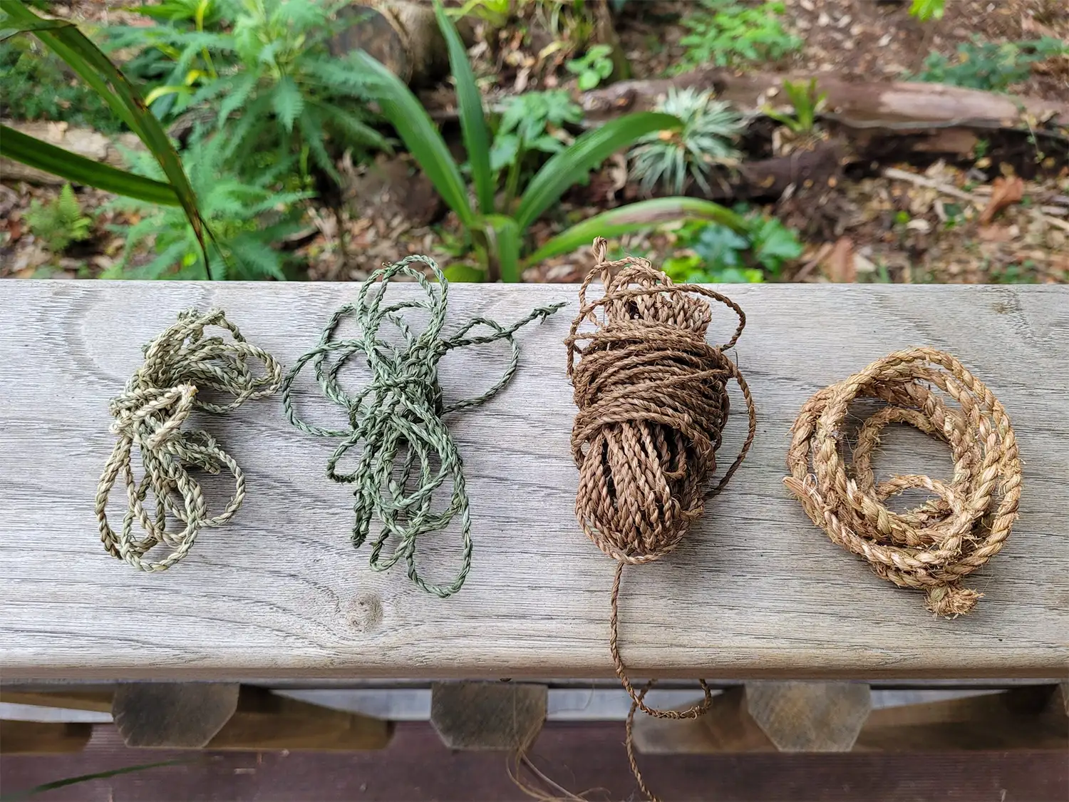 Four plant strings made from Cornish garden plants