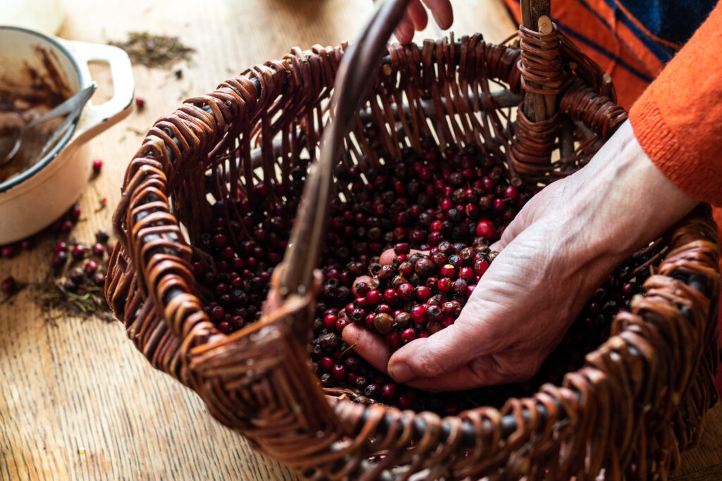 A hand in a basket of haw berries, grabbing a handful