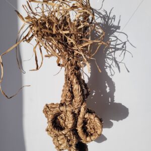 Artwork of ten bunched vessels woven from dried daffodil stems