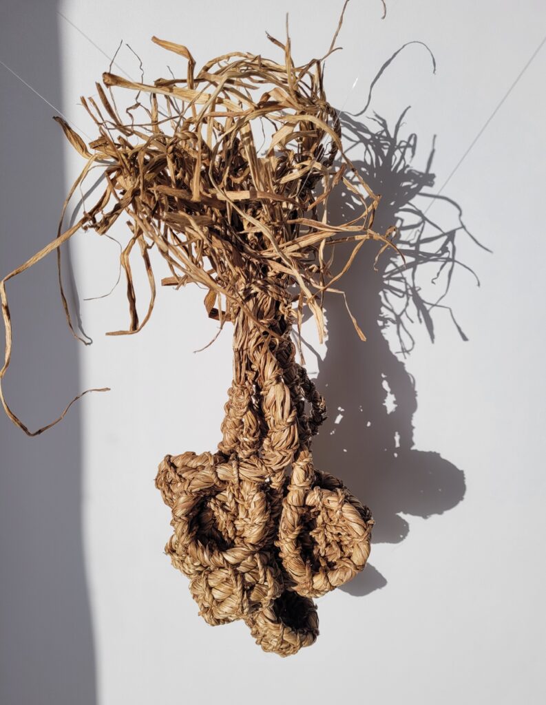 Artwork of ten bunched vessels woven from dried daffodil stems