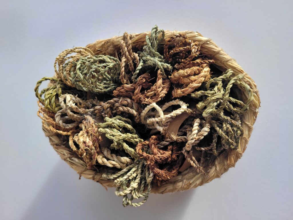 aerial view of basket of 20 bundles of plant strings ranging through greens to browns