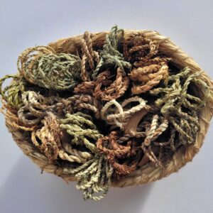 aerial view of basket of 20 bundles of plant strings ranging through greens to browns