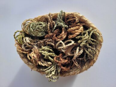 aerial view of basket of 20 bundles of plant strings ranging through greens to browns