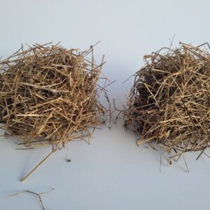 Two balls, reminiscent of nests made from small pieces of cleavers stems