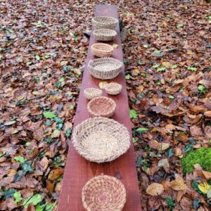 A line of 9 bowls made from natural, local materials sitting on a long plank of wood above the autumnal forest floor