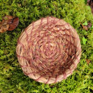 bowl made from pine needles and jute string sitting on mossy branch in the forest. Aerial view.