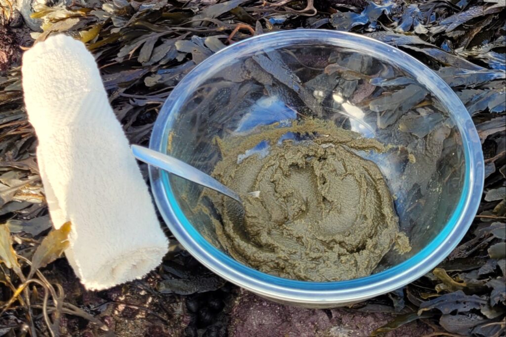 A bowl of seaweed paste and a cream, rolled face cloth on the beach on a bd of seaweed