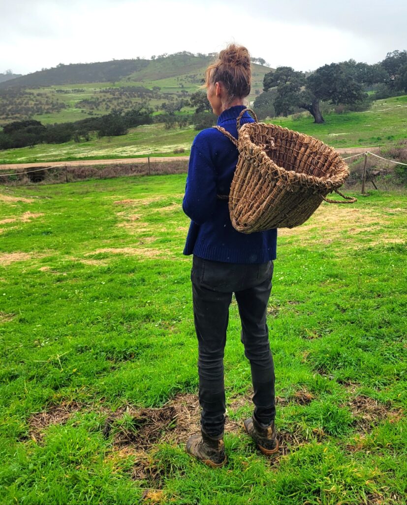 Forager Rachel Lambert standing looking at a view of hills with a kishie basket on her back