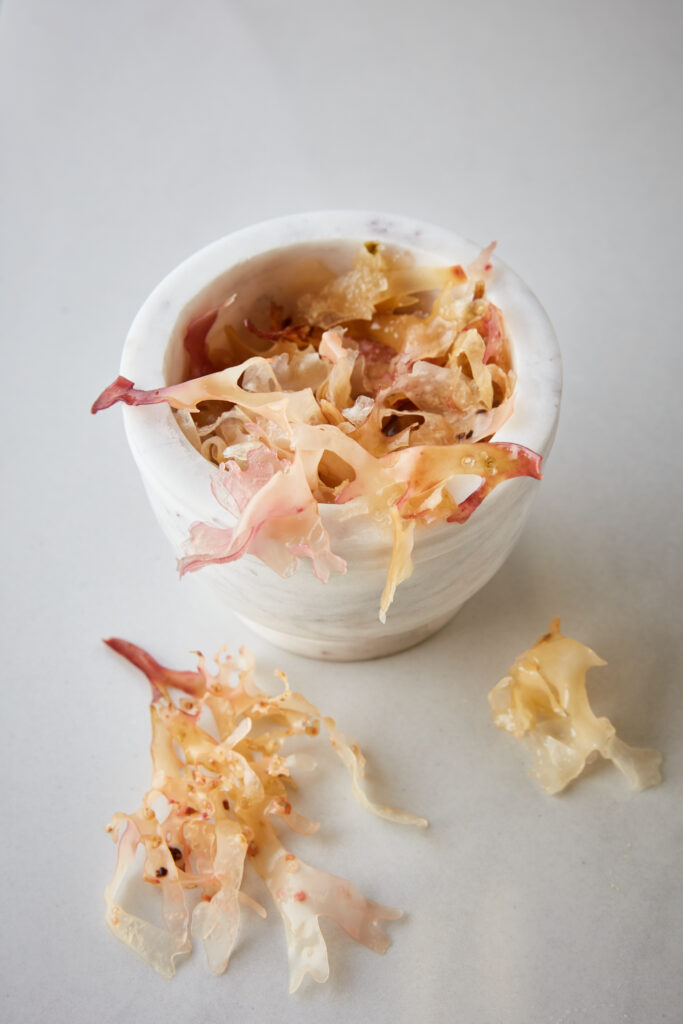 A white ceramic pot with creamy carrageen seaweed spilling out of it