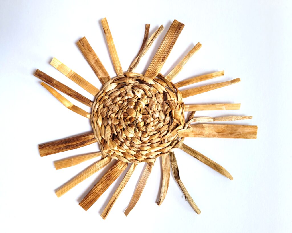 'Dandelion Sun' made from 100% dandelion stems using a traditional basketry technique and laying flat on a table in a sun-like shape