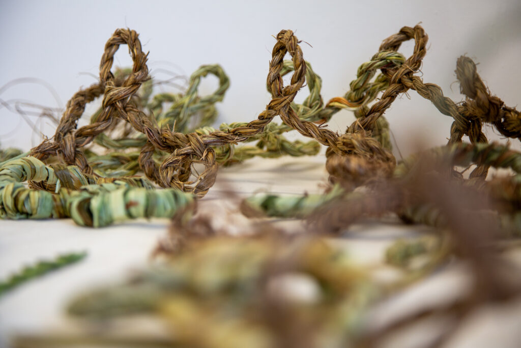 A table of natural green and brown fibres woven together in circular shapes. All made from local plants.