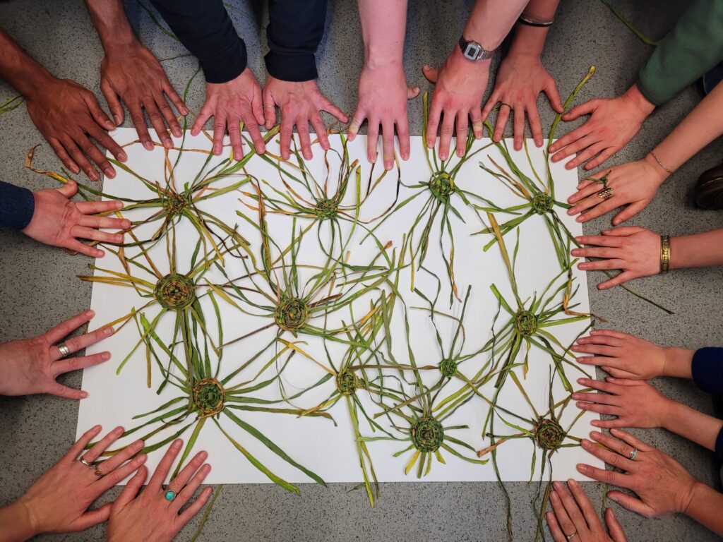 Lots of hands around an A1 white rectangular card with green organism-like shapes made from daffodil stems