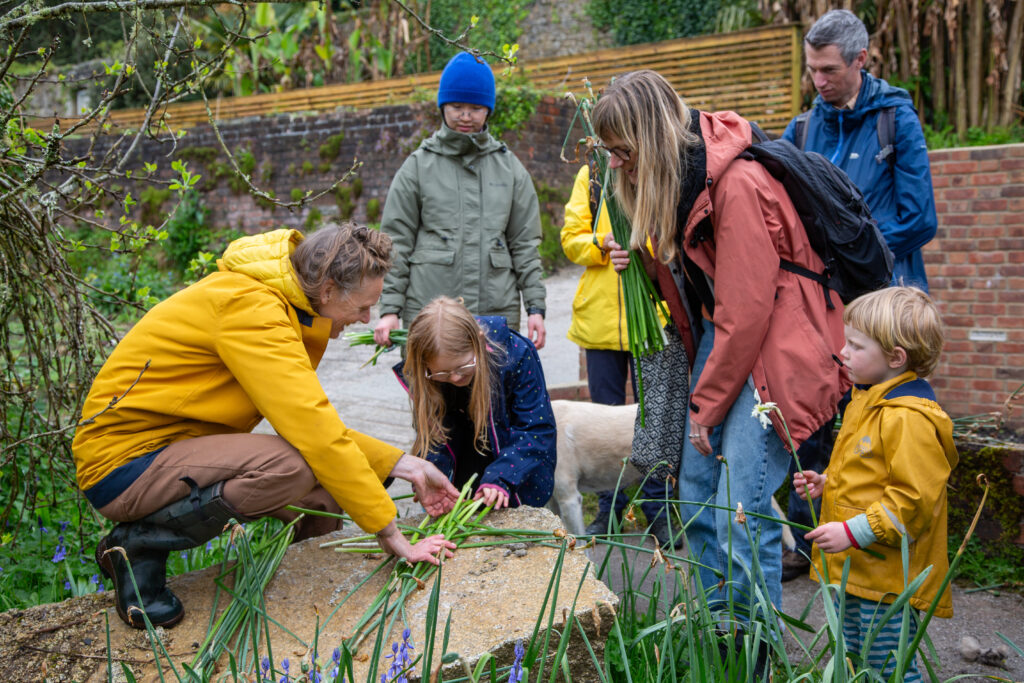 Group of adults and children weaving with green daffodil stems in a walled garden