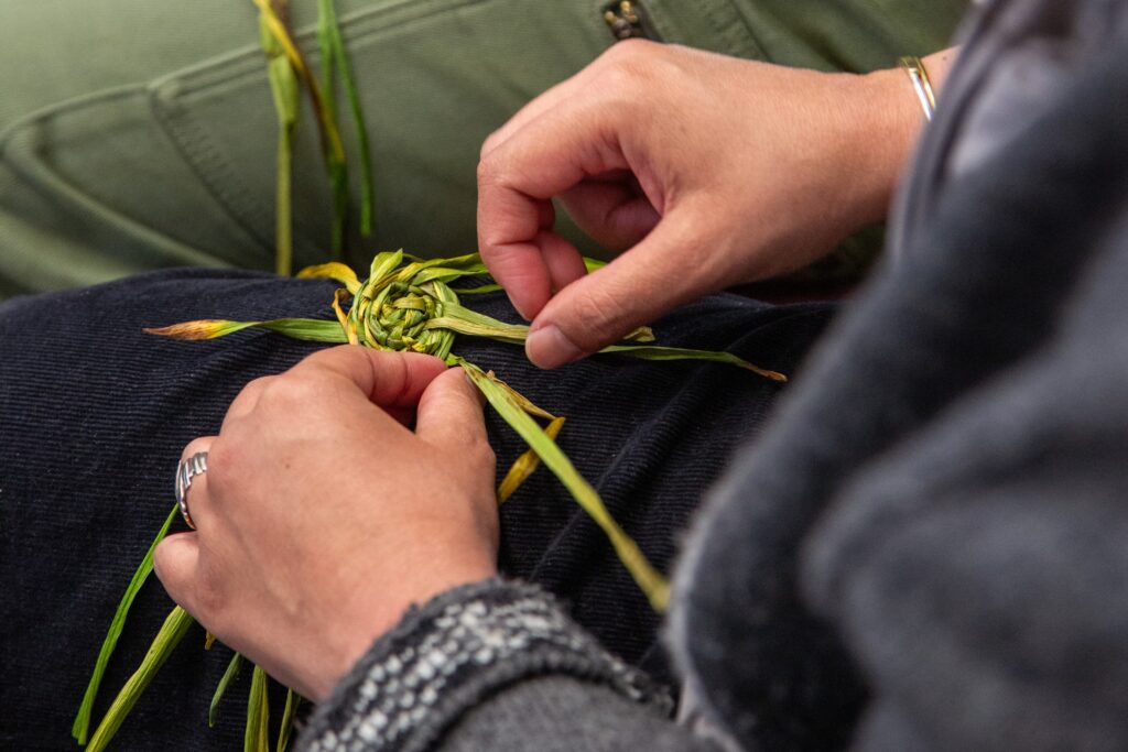 Basket making with daffodils, pair of hands weaving a circle with plants