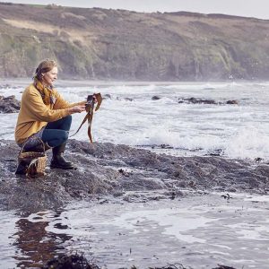 Forager Rachel Lambert is collecting kelp an edible seaweeds on the West Cornish coast